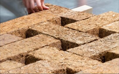 Sugarcrete – The Sweet New Sustainable Building Material